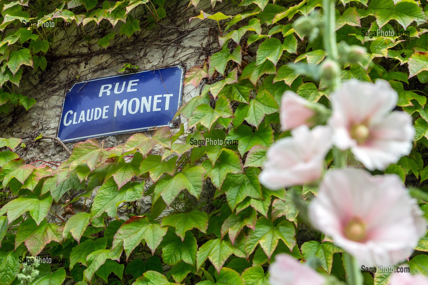 RUE CLAUDE MONET DANS LA RUE PRINCIPALE (VIGNE VIERGE), GIVERNY, EURE (27), NORMANDIE, FRANCE 