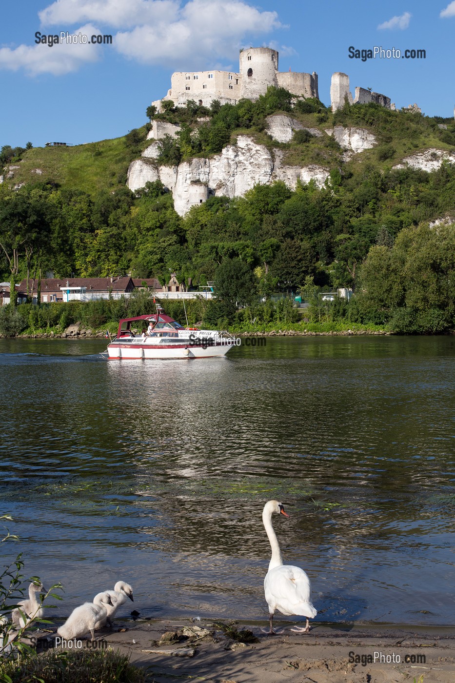 PETIT BATEAU DE CROISIERE PRIVEE LIBERTE SEINE SUR LE FLEUVE DEVANT LA FORTERESSE MEDIEVALE DE CHATEAU GAILLARD EDIFIE PAR LE ROI D'ANGLETERRE RICHARD COEUR DE LION EN 1198, LES ANDELYS, EURE (27), NORMANDIE, FRANCE 
