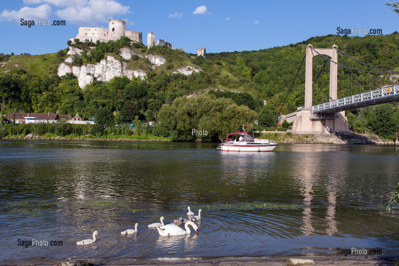 PETIT BATEAU DE CROISIERE PRIVEE LIBERTE SEINE SUR LE FLEUVE DEVANT LA FORTERESSE MEDIEVALE DE CHATEAU GAILLARD EDIFIE PAR LE ROI D'ANGLETERRE RICHARD COEUR DE LION EN 1198, LES ANDELYS, EURE (27), NORMANDIE, FRANCE 