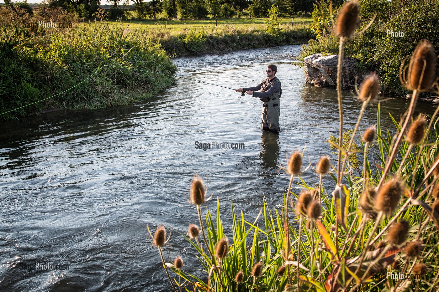 PECHE A LA MOUCHE SUR LE PARCOURS DE LA RIVIERE LA RISLE, LA NEUVE-LYRE (27) EURE, FRANCE 