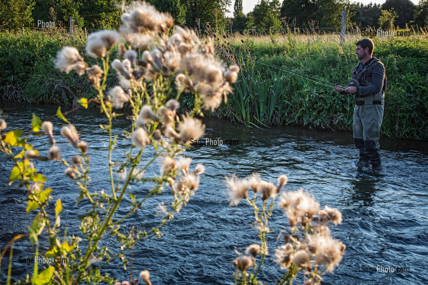 PECHE A LA MOUCHE SUR LE PARCOURS DE LA RIVIERE LA RISLE, LA NEUVE-LYRE (27) EURE, FRANCE 