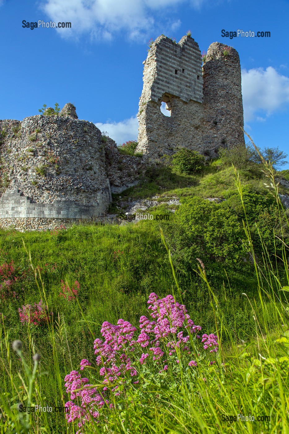 REMPART ET DONJON DE LA FORTERESSE MEDIEVALE DE CHATEAU GAILLARD EDIFIE PAR LE ROI D'ANGLETERRE RICHARD COEUR DE LION EN 1198, LES ANDELYS, EURE (27), NORMANDIE, FRANCE 