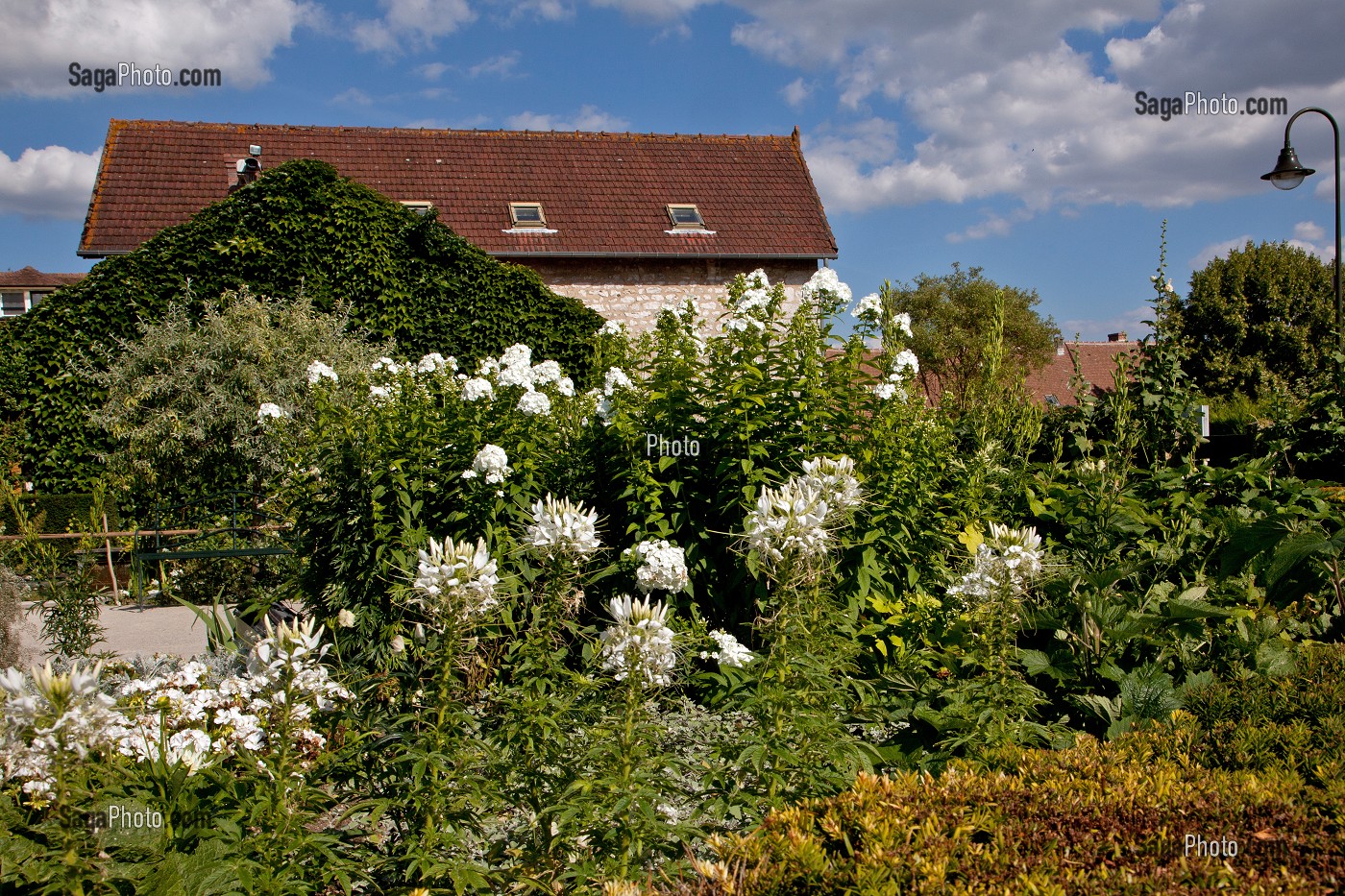 JARDIN DU MUSEE DES IMPRESSIONNISTES CREE PAR LE PAYSAGISTE MARK RUDKIN EN 1991, GIVERNY, EURE (27), FRANCE 