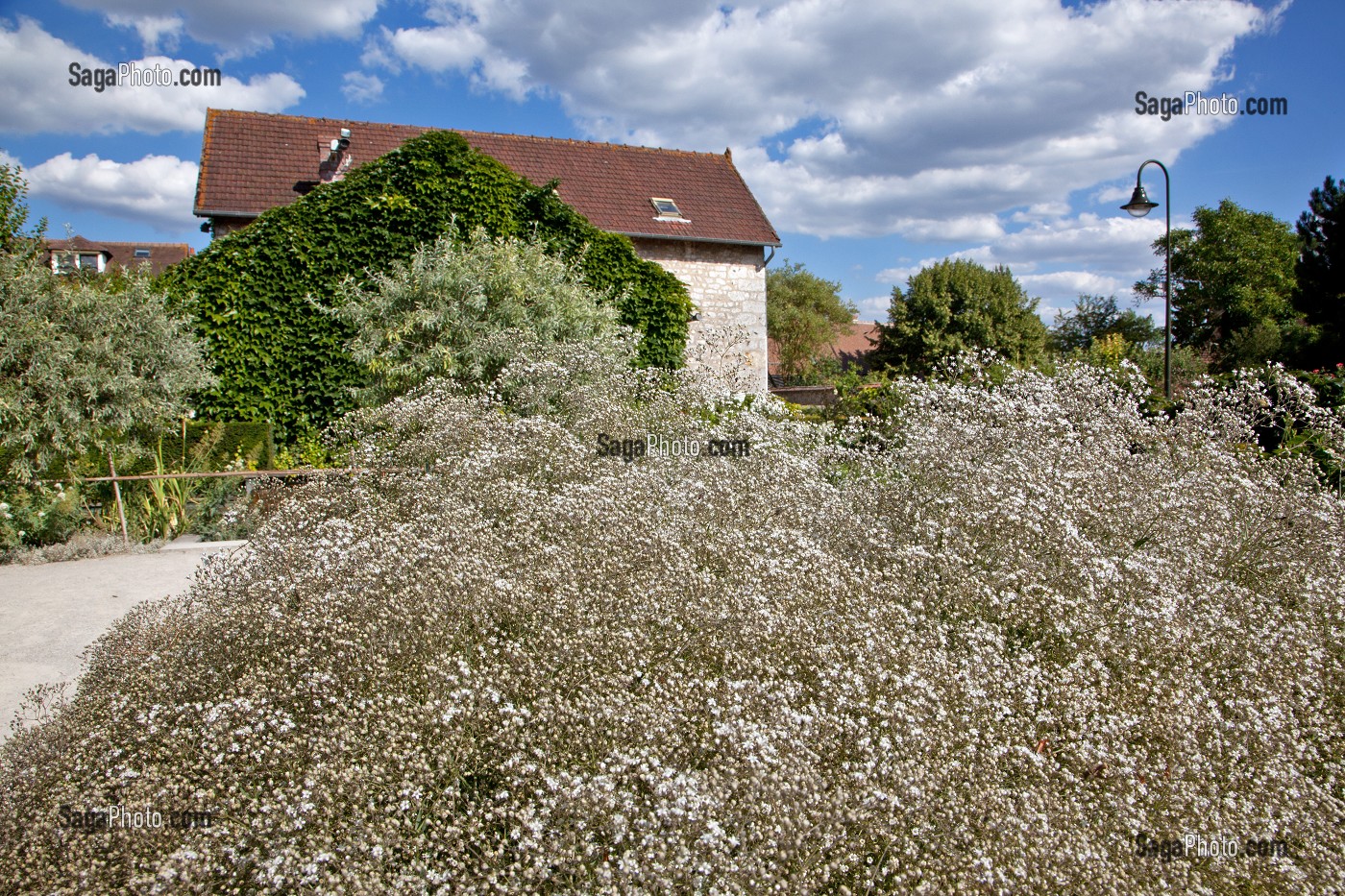 JARDIN DU MUSEE DES IMPRESSIONNISTES CREE PAR LE PAYSAGISTE MARK RUDKIN EN 1991, GIVERNY, EURE (27), FRANCE 