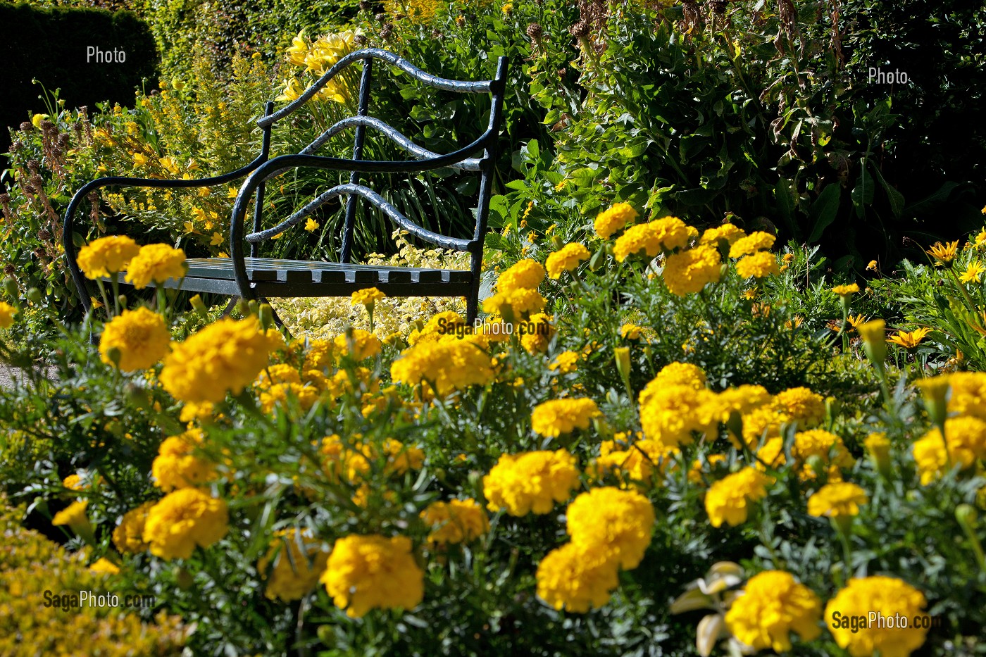 JARDIN DU MUSEE DES IMPRESSIONNISTES CREE PAR LE PAYSAGISTE MARK RUDKIN EN 1991, GIVERNY, EURE (27), FRANCE 