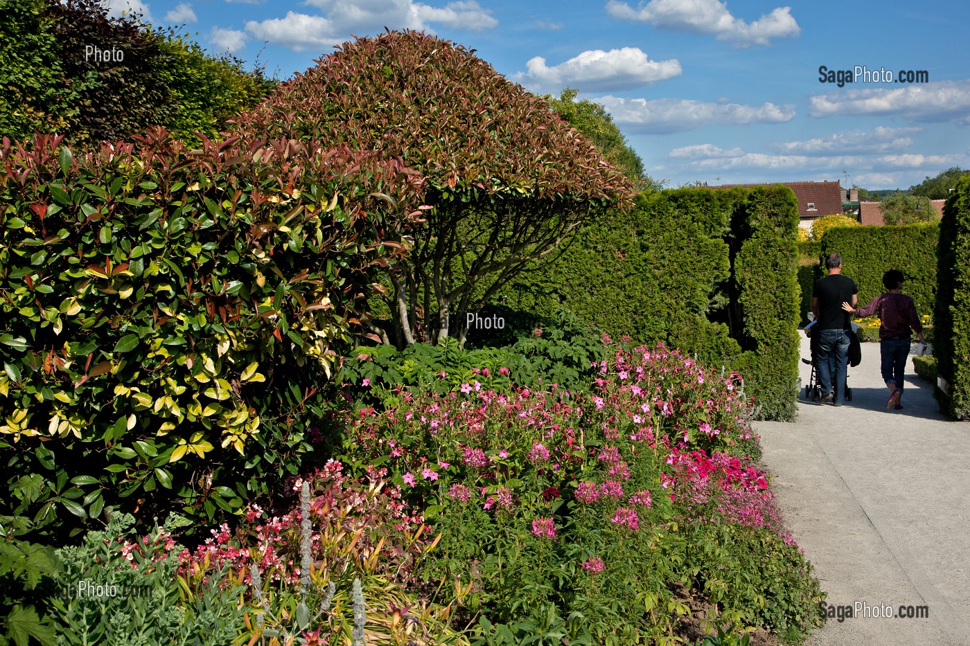 JARDIN DU MUSEE DES IMPRESSIONNISTES CREE PAR LE PAYSAGISTE MARK RUDKIN EN 1991, GIVERNY, EURE (27), FRANCE 