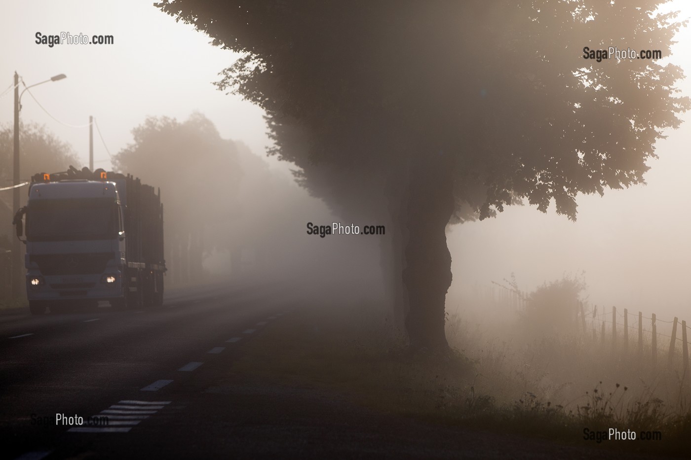 ROUTE NATIONALE RN26, ENTRE VERNEUIL-SUR-AVRE ET L'AIGLE, DANS LE BROUILLARD DU MATIN, BOURTH, EURE (27), NORMANDIE, FRANCE 