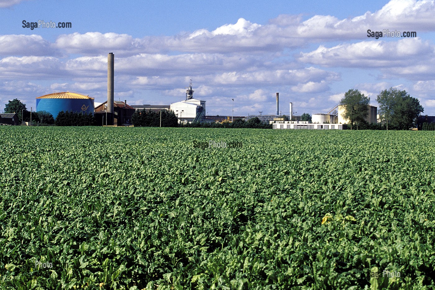 USINE DE SUCRE, TOURY, EURE-ET-LOIR (28), FRANCE 