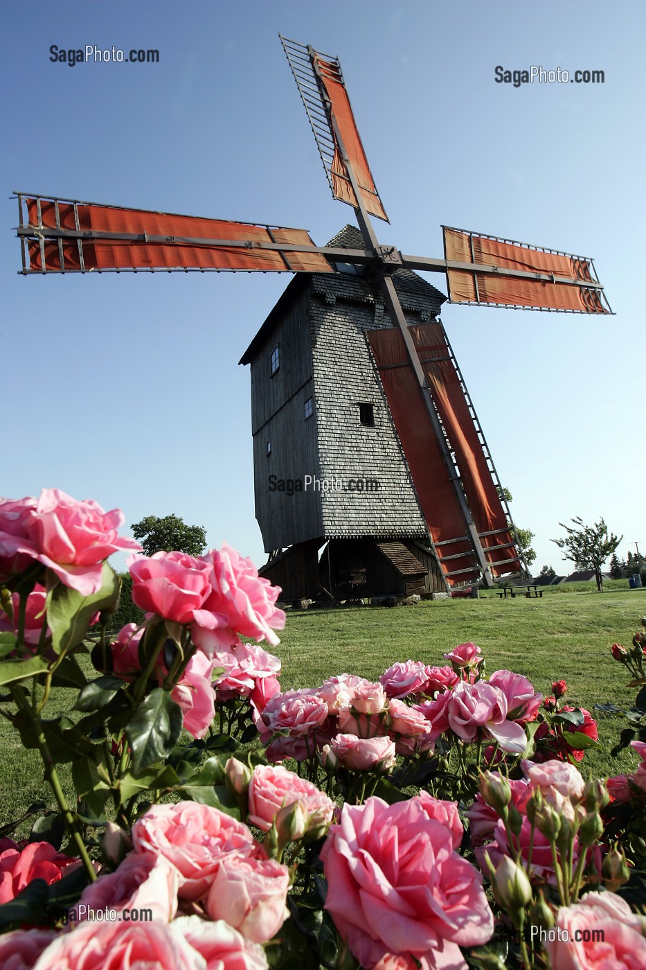 MOULIN A VENT DU BOIS DE FEUGERES, PRES D'UN MASSIF DE ROSES, BEAUCE, EURE-ET-LOIR (28), FRANCE 