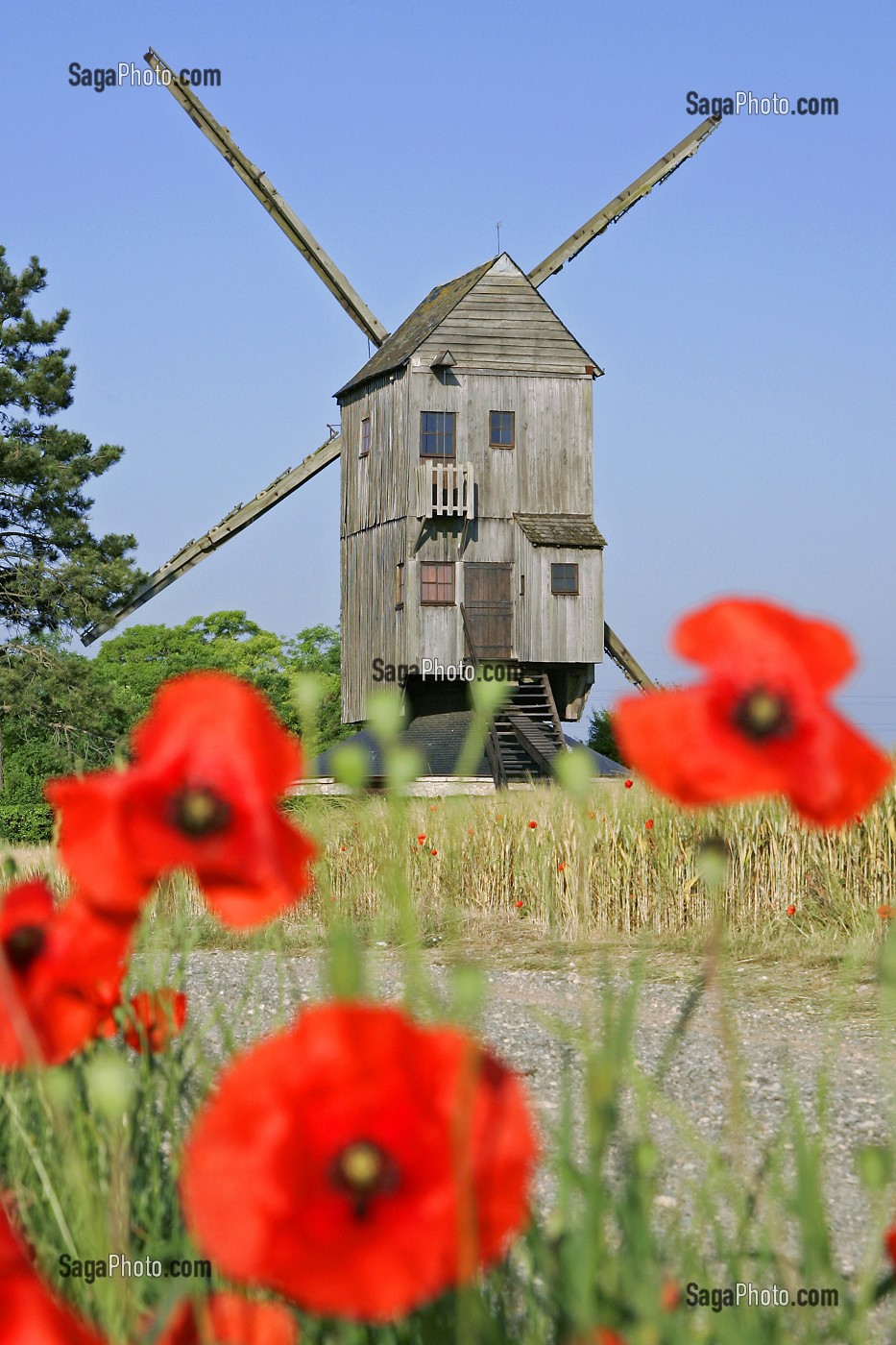MOULIN A VENT PRES D'UN CHAMP DE COQUELICOTS, YMONVILLE, EURE-ET-LOIR (28), FRANCE 