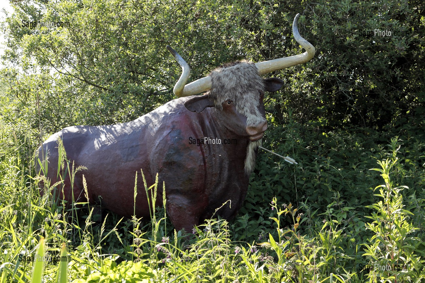 AUROCH BLESSE PAR DES FLECHES, JARDIN DE LA PREHISTOIRE, MAISON NEOLITHIQUE D'AUNEAU, EURE-ET-LOIR (28), FRANCE 