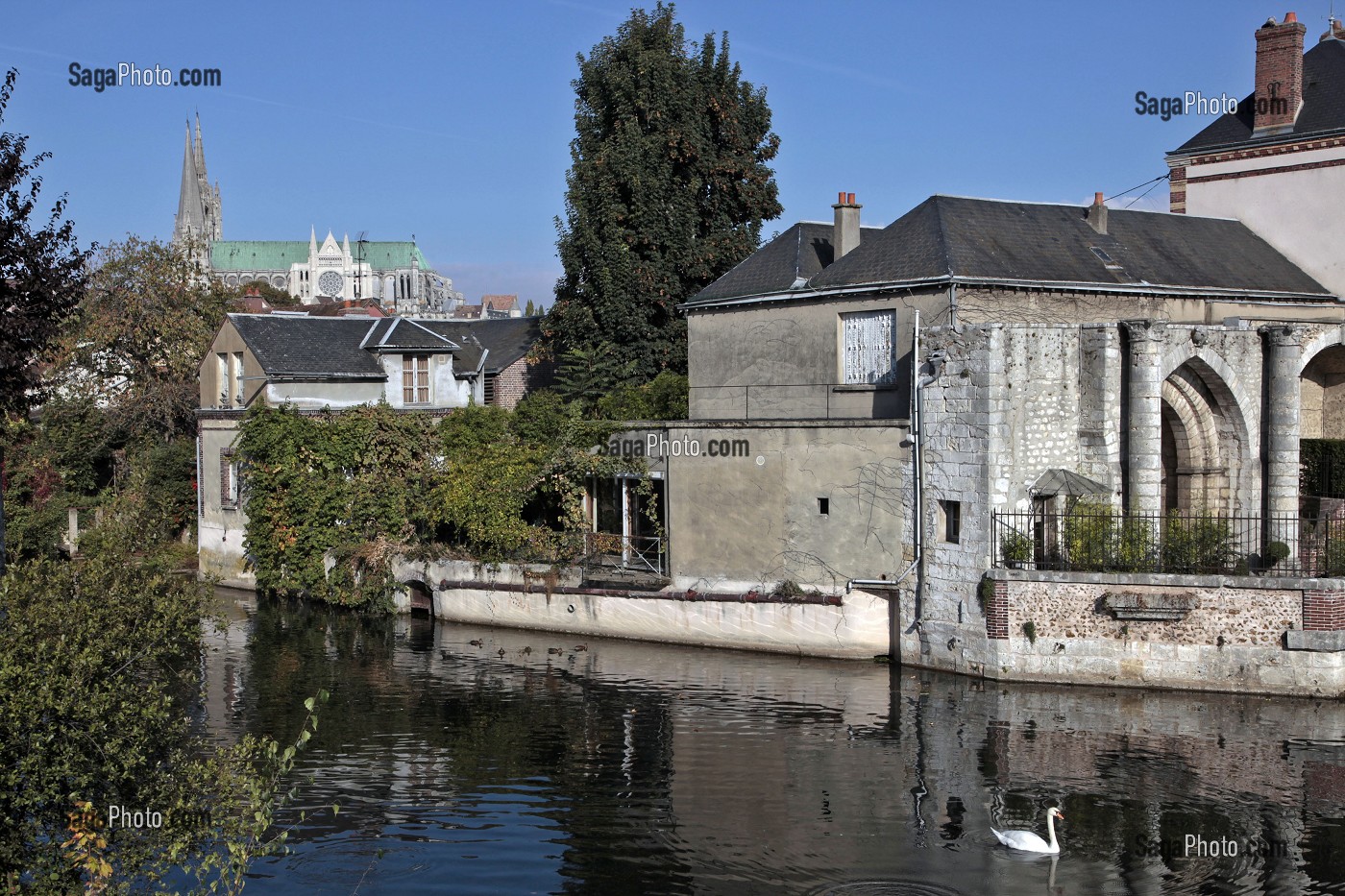 CATHEDRALE NOTRE-DAME DEPUIS LA BASSE VILLE, CHARTRES, EURE-ET-LOIR, FRANCE