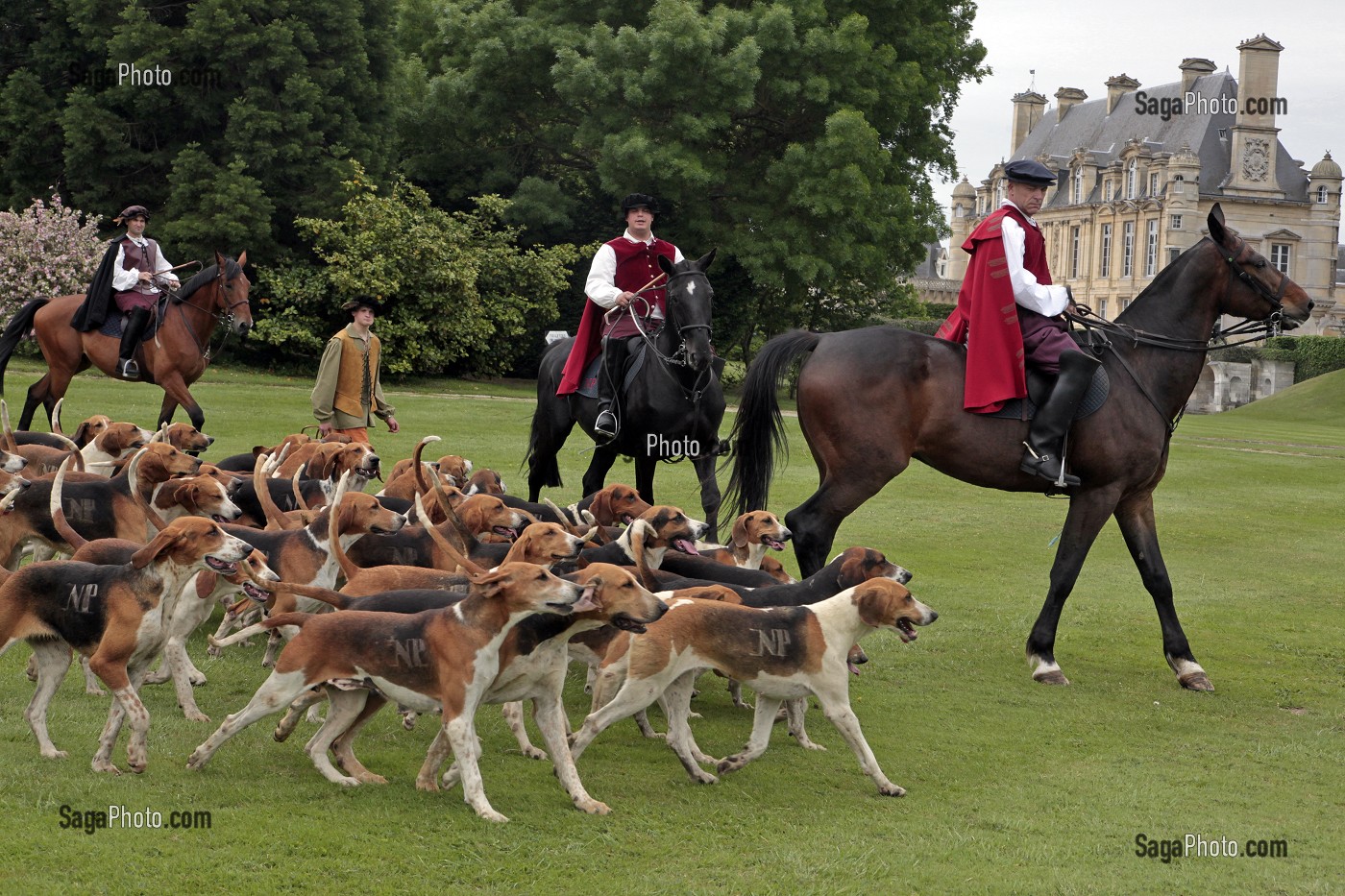 EQUIPAGE DE CHASSE A COURRE AVEC SA MEUTE DE CHIEN, CEREMONIE POUR LE RETOUR DE LA DEPOUILLE DE DIANE DE POITIERS A LA CHAPELLE SEPULCRALE DU CHATEAU D'ANET, 29 MAI 2010, EURE-ET-LOIR (28), FRANCE 