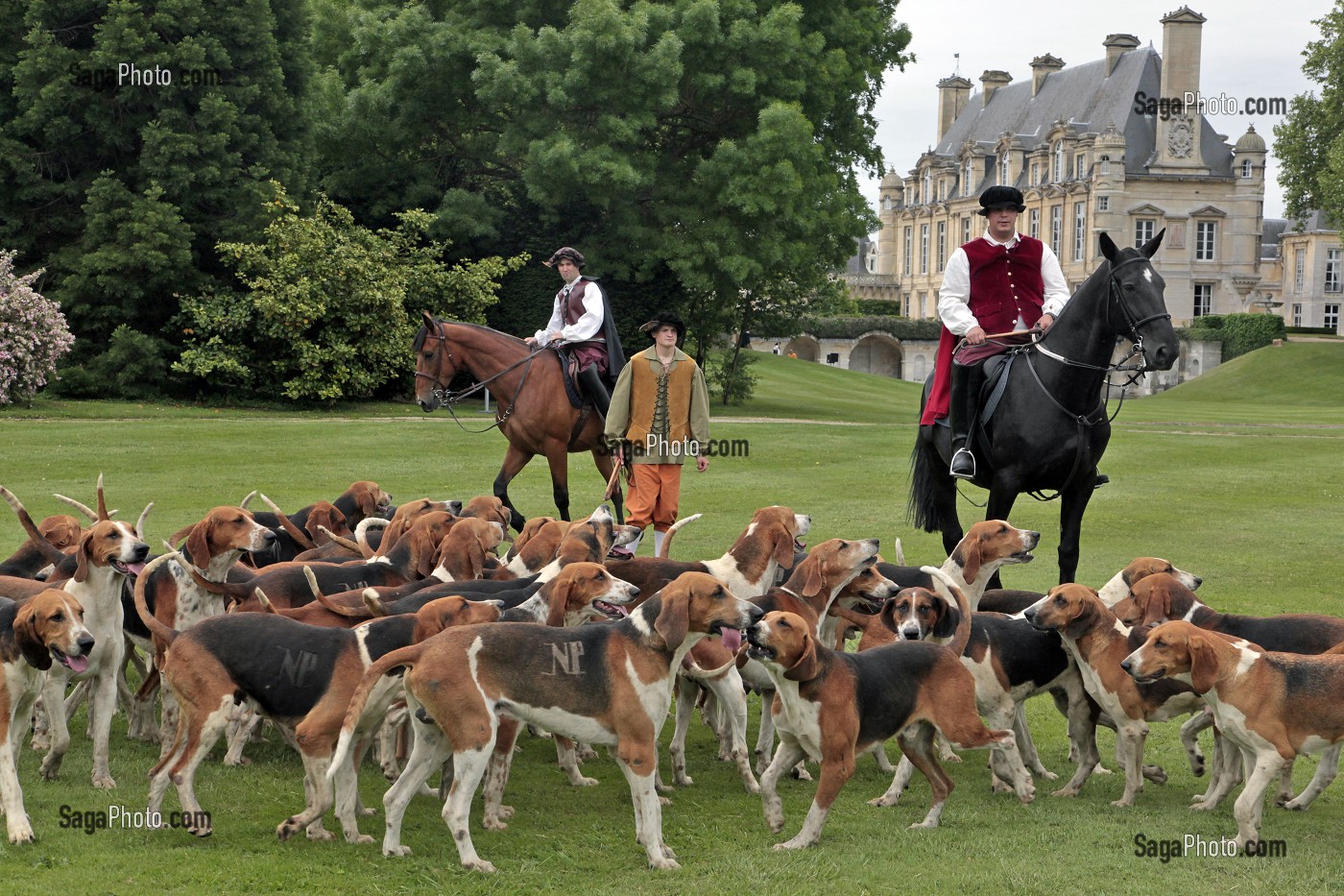 EQUIPAGE DE CHASSE A COURRE AVEC SA MEUTE DE CHIEN, CEREMONIE POUR LE RETOUR DE LA DEPOUILLE DE DIANE DE POITIERS A LA CHAPELLE SEPULCRALE DU CHATEAU D'ANET, 29 MAI 2010, EURE-ET-LOIR (28), FRANCE 