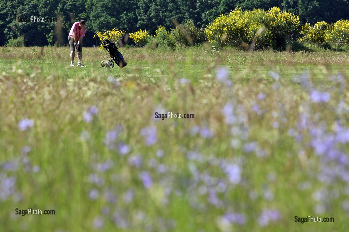 GOLF DU BOIS D'O, SAINT-MAXIME-HAUTERIVE, CHATEAUNEUF-EN-THYMERAIS, EURE-ET-LOIR (28), FRANCE 