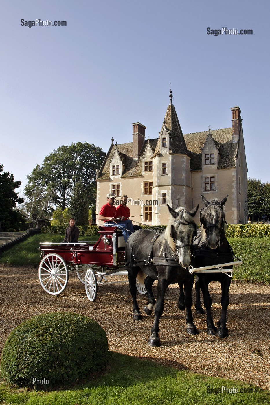 ATTELAGE DE PERCHERONS, DOMAINE DU MANOIR DU GRAND PRAINVILLE, SAINT-JEAN-PIERRE-FIXTE, EURE-ET-LOIR (28), FRANCE 