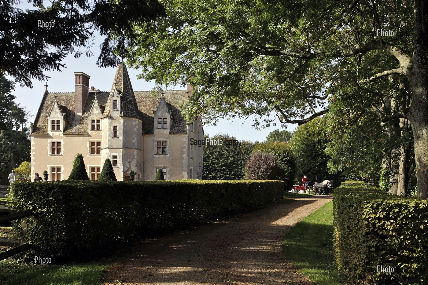 ATTELAGE DE PERCHERONS, DOMAINE DU MANOIR DU GRAND PRAINVILLE, SAINT-JEAN-PIERRE-FIXTE, EURE-ET-LOIR (28), FRANCE 