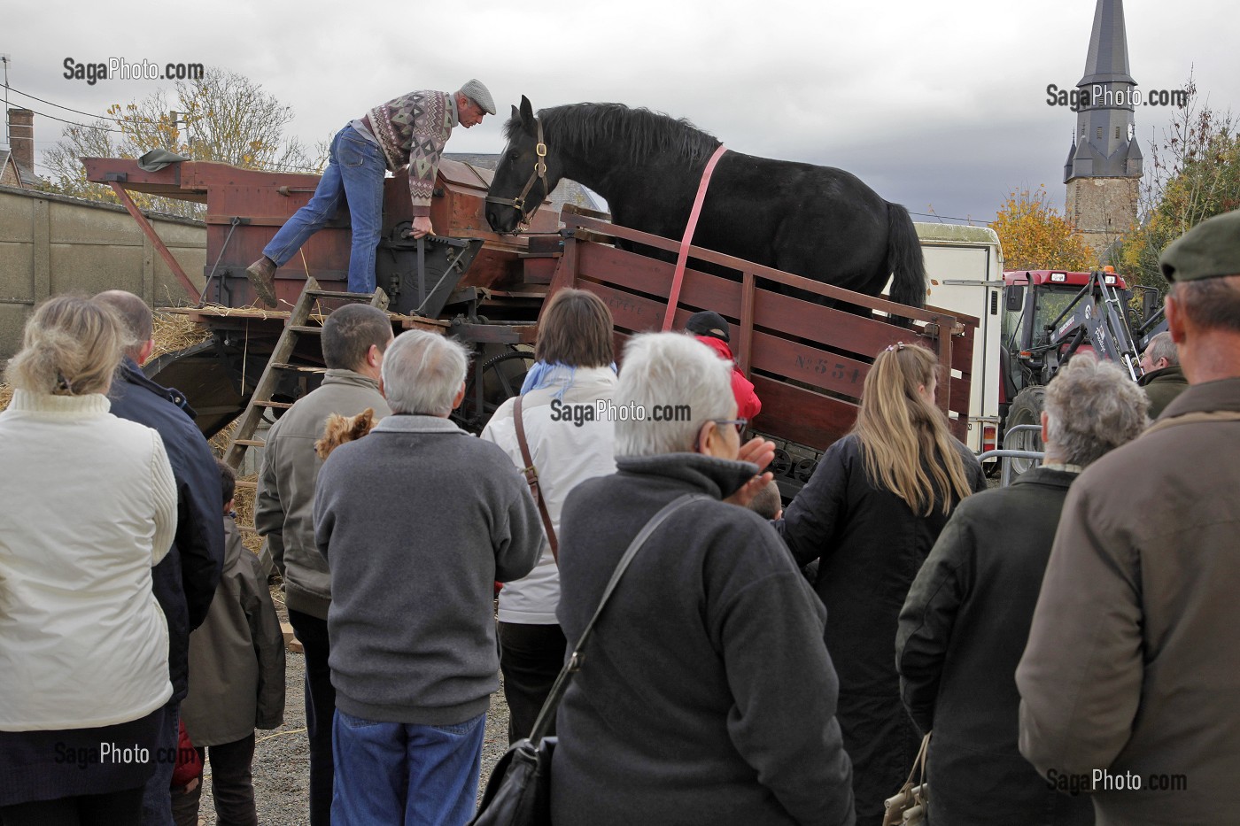 DEMONSTRATION DE BATTAGE DES GRAINS A LA TREPIGNEUSE (MOISSON A L'ANCIENNE), FETE DU PERCHERON OU FOIRE DE LA SAINT-MARTIN, LA BAZOCHE-GOUET, EURE-ET-LOIR (28), FRANCE 