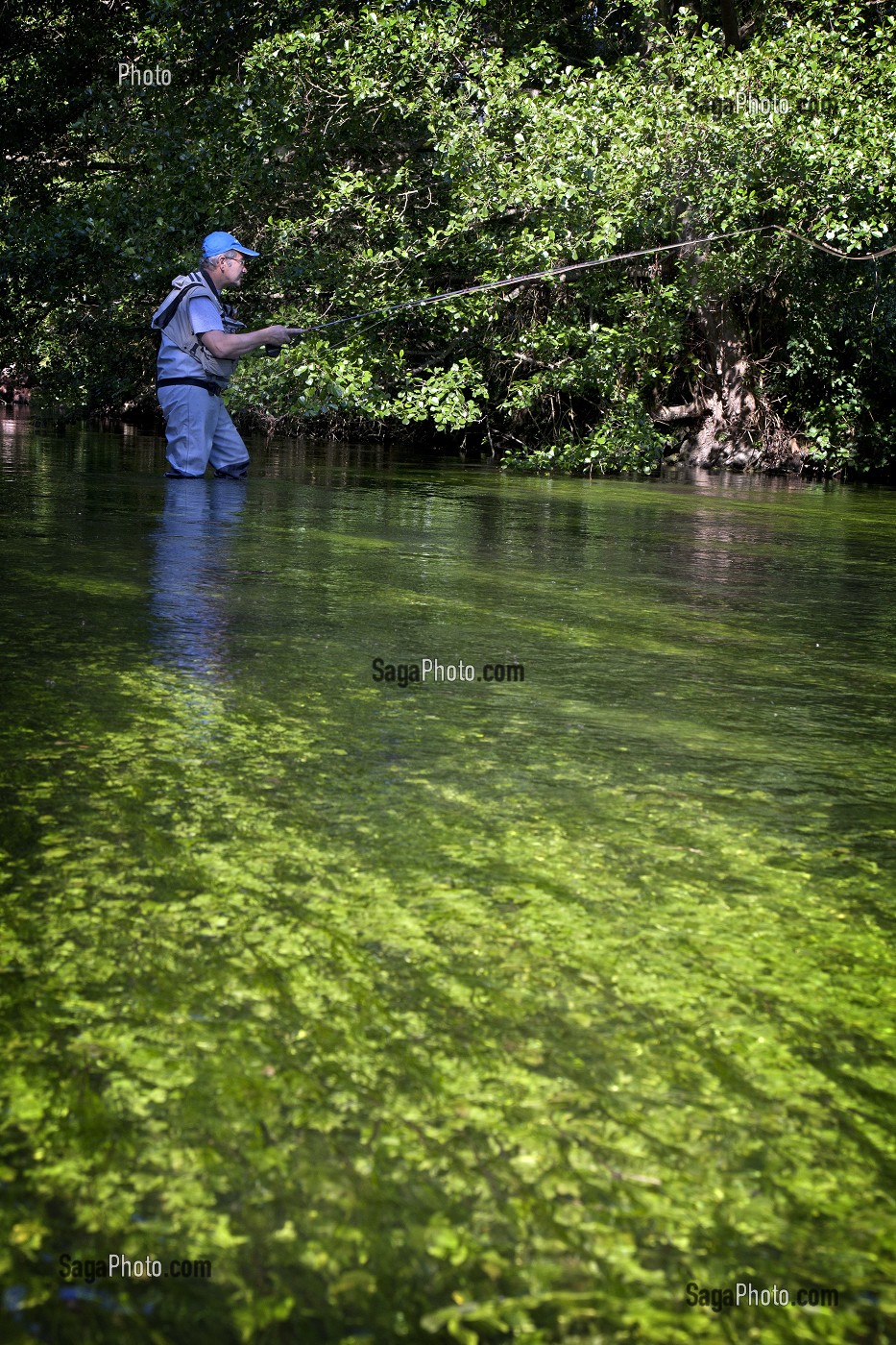PECHEUR A LA MOUCHE AU MILIEU DES PANTES AQUATIQUE DE LA RIVIERE DE L'AVRE, MUSY, EURE-ET-LOIR (28), FRANCE 
