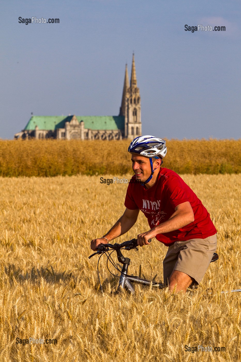 CYCLOTOURISTES DANS UN CHAMP DE BLE, PRES DE LA CATHEDRALE DE CHARTRES, EURE-ET-LOIR (28), FRANCE 