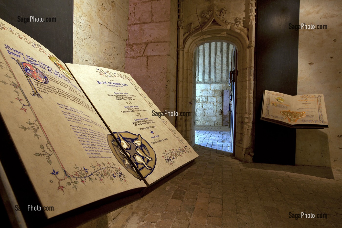 EXPOSITION, CHATEAU DE CHATEAUDUN, EURE-ET-LOIR, FRANCE 