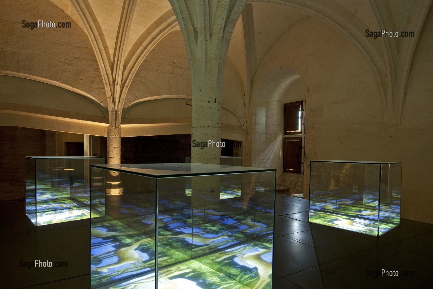 EXPOSITION, CHATEAU DE CHATEAUDUN, EURE-ET-LOIR, FRANCE 