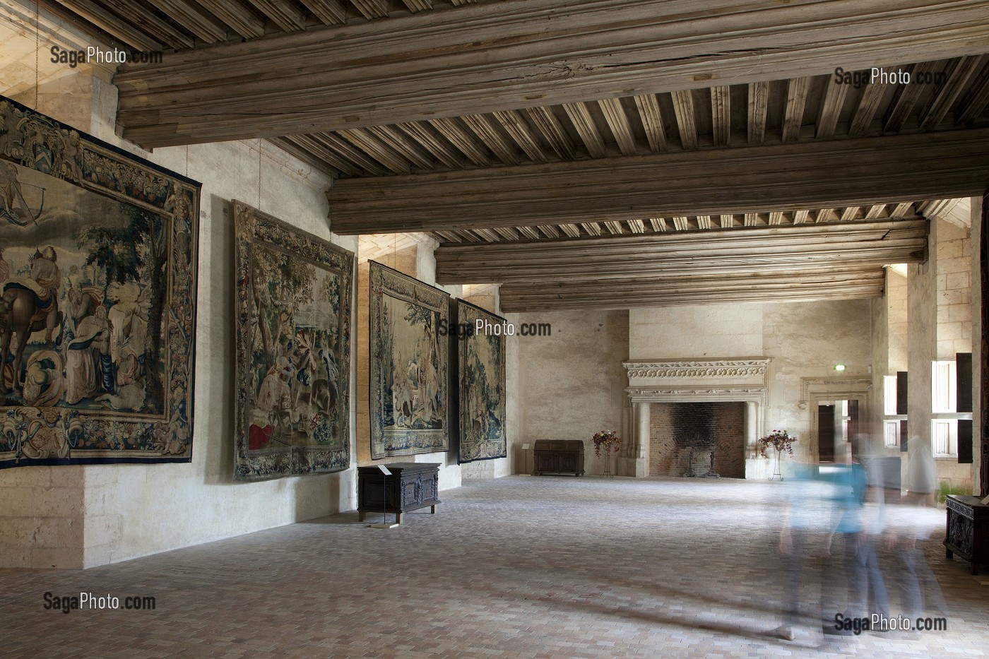 CHATEAU DE CHATEAUDUN, EURE-ET-LOIR, FRANCE 