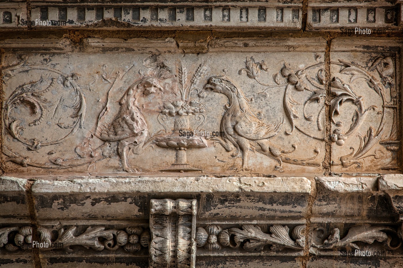 BAS-RELIEF REPRESENTANT DES FAISANS, CHATEAU DE CHATEAUDUN, EURE-ET-LOIR (28), FRANCE 