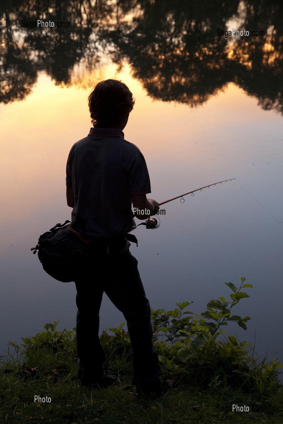 PECHEUR DE BLACK BASS A L'AUBE, PECHE NO-KILL AVEC REMISE IMMEDIATE DES POISSONS DANS L'EAU, ETANG DE DOUY PRES DE CHATEAUDUN, EURE-ET-LOIR (28), FRANCE 