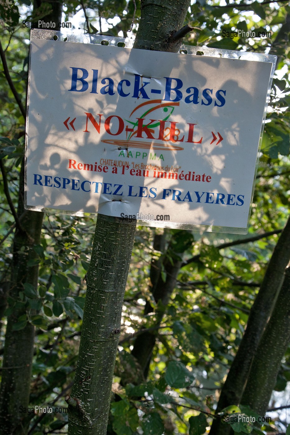 PECHE AU BLACK BASS, PECHE NO-KILL, EURE-ET-LOIR, FRANCE 