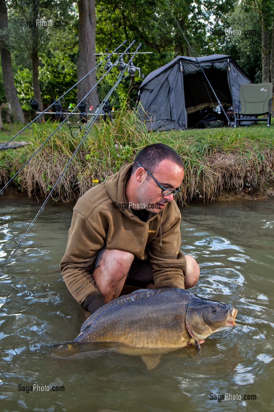 CARPE MIROIR DE 10 KILOGRAMMES, PECHE NO-KILL AVEC REMISE IMMEDIATE DES POISSONS DANS L'EAU, PLAN D’EAU DE MEZIERES-ECLUIZELLES, EURE-ET-LOIR (28), FRANCE 