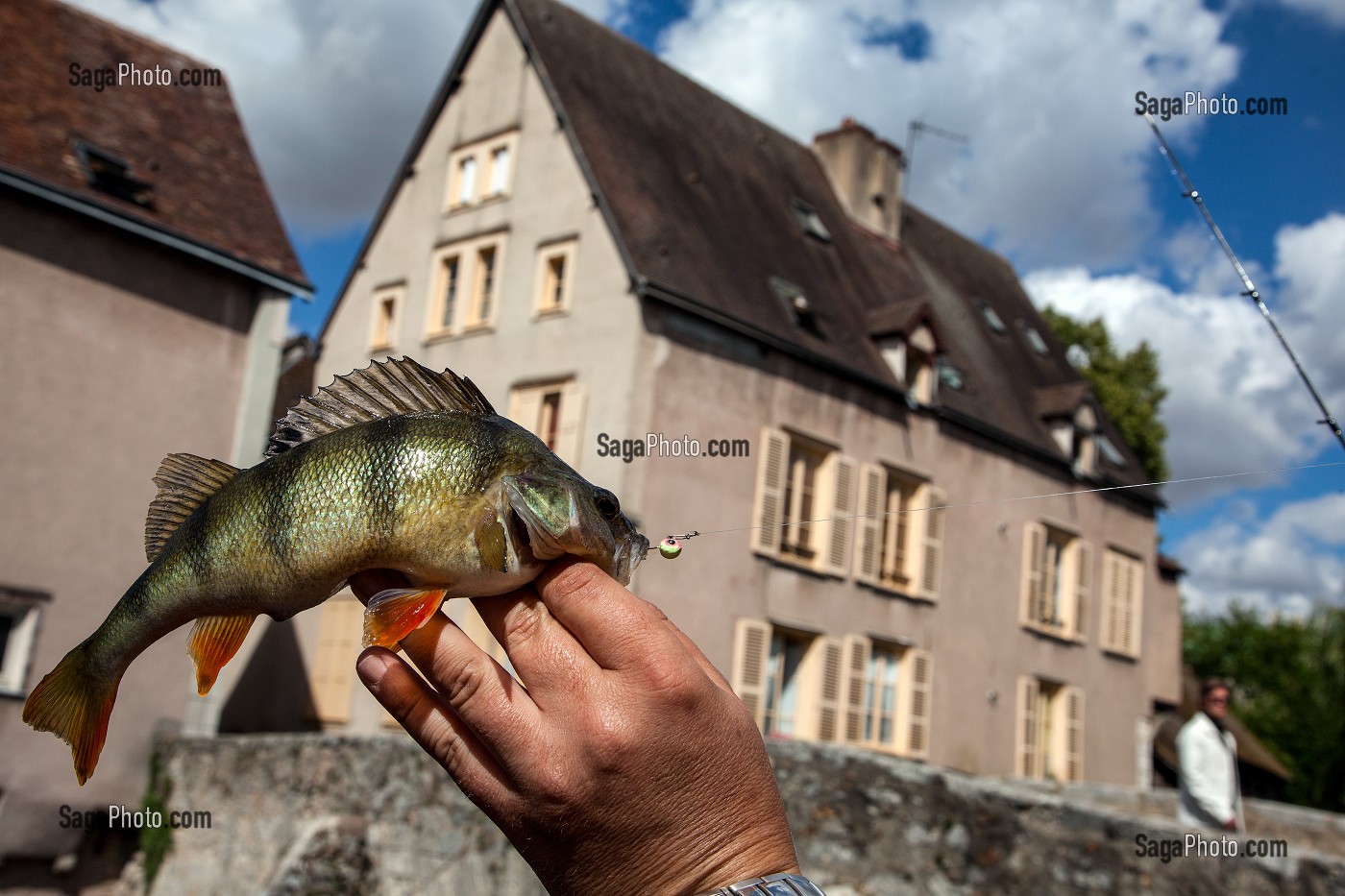 PERCHE ATTAPEE PECHEUR DANS LA RIVIERE L'EURE, STREET-FISHING OU PECHE DANS LA RUE, BASSE VILLE DE CHARTRES, EURE-ET-LOIR (28), FRANCE 