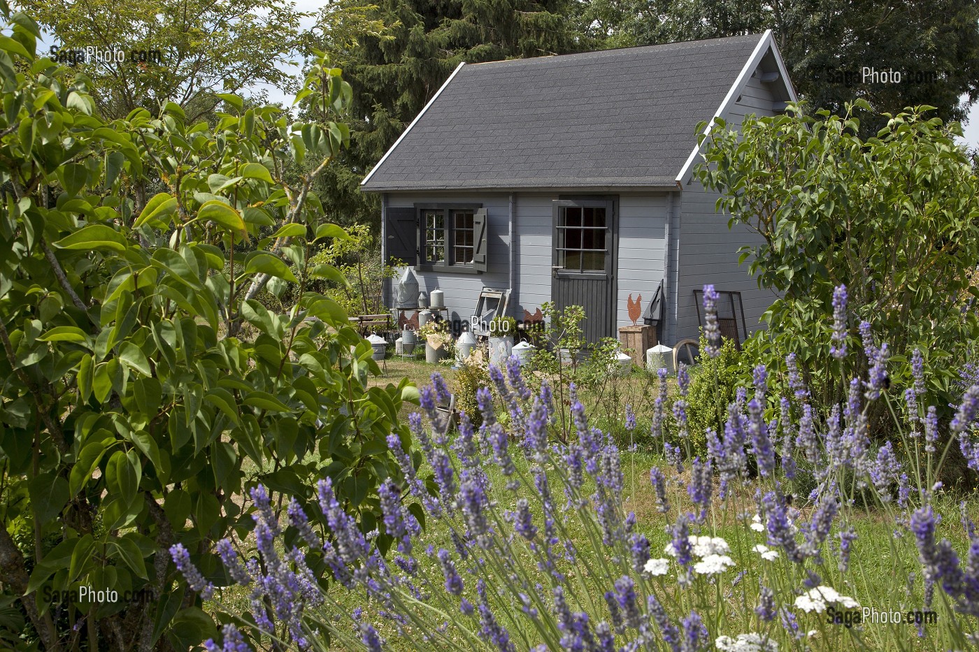 CHAMBRE D'HOTES CAMPAGNARDE, ROHAIRE, EURE-ET-LOIR, FRANCE 