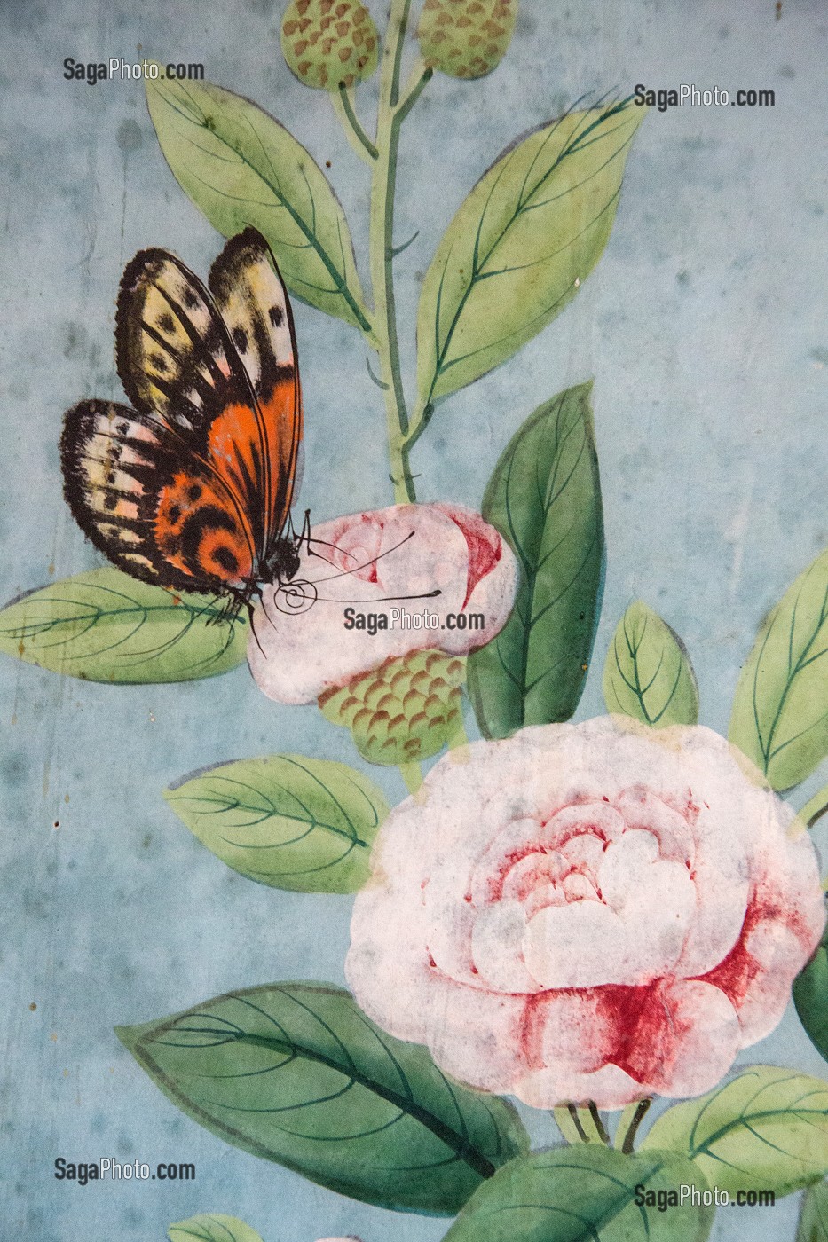 DETAIL DES PAPIERS PEINTS CHINOIS DATES DU 18EME SIECLE, SALON CHINOIS, CHATEAU DE MAINTENON, EURE-ET-LOIR (28), FRANCE 