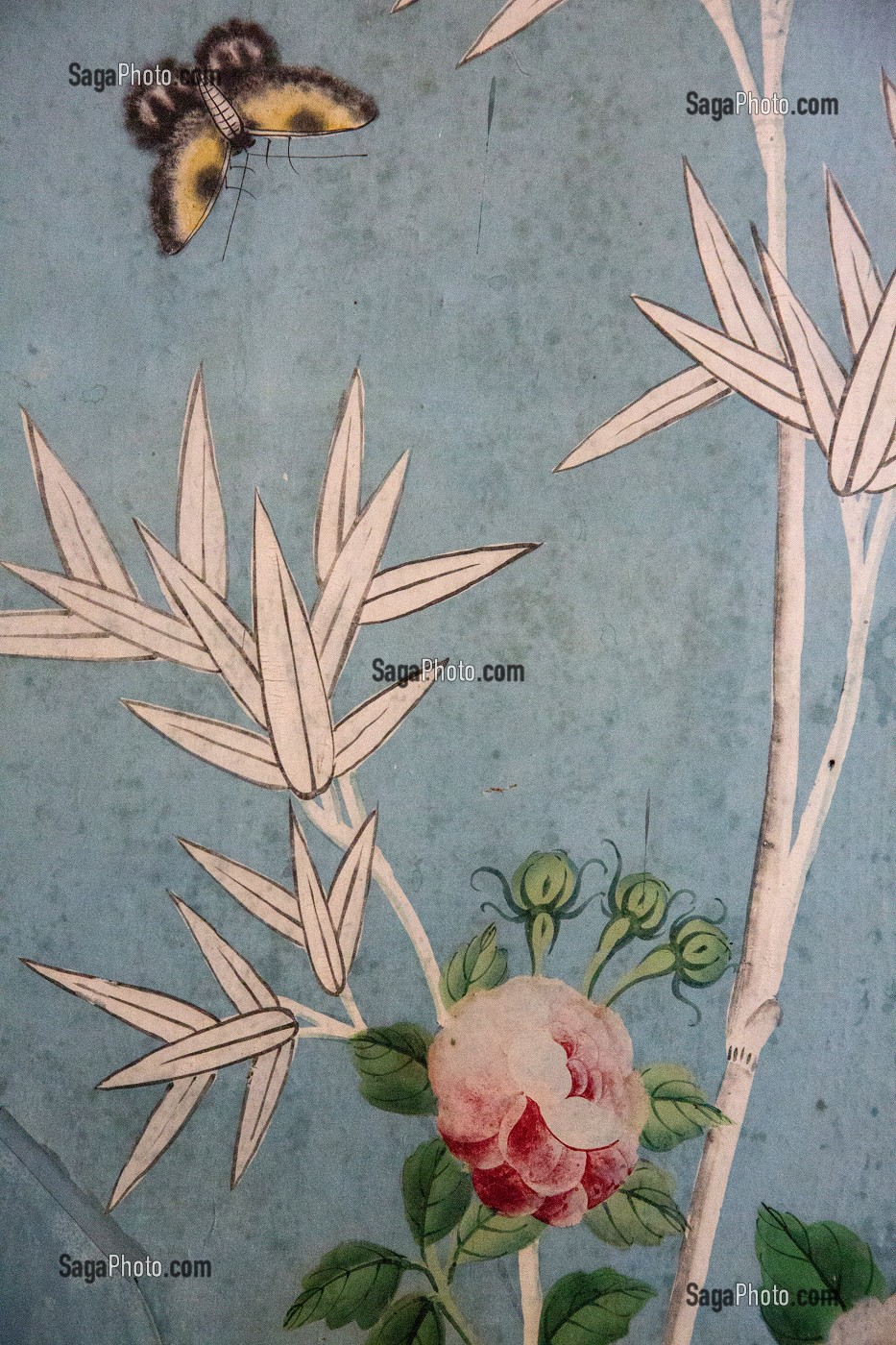 DETAIL DES PAPIERS PEINTS CHINOIS DATES DU 18EME SIECLE, SALON CHINOIS, CHATEAU DE MAINTENON, EURE-ET-LOIR (28), FRANCE 