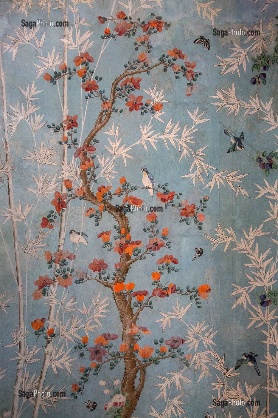 DETAIL DES PAPIERS PEINTS CHINOIS DATES DU 18EME SIECLE, SALON CHINOIS, CHATEAU DE MAINTENON, EURE-ET-LOIR (28), FRANCE 