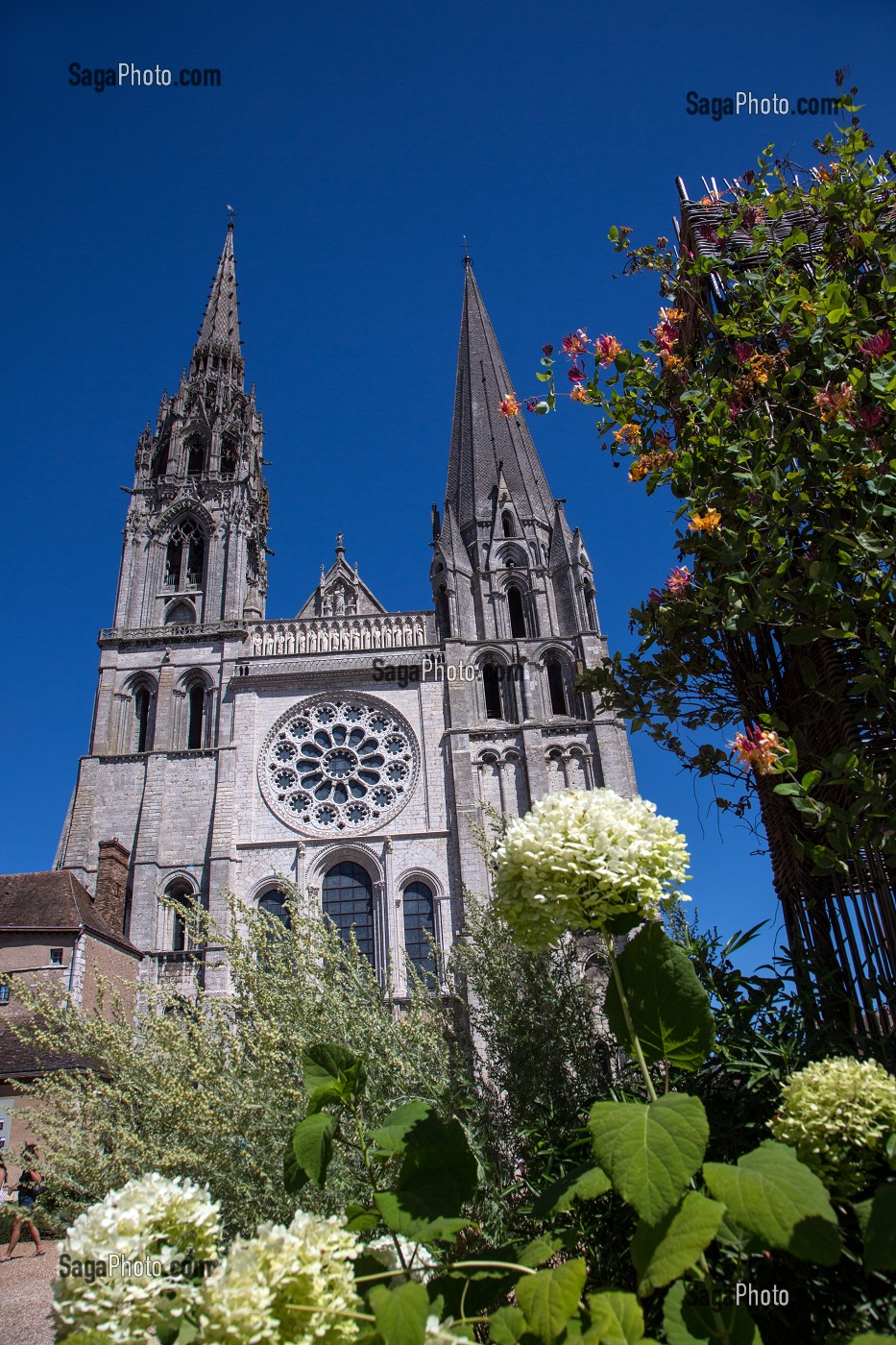 PARVIS FLEURI DEAVANT LA CATHEDRALE NOTRE-DAME, CHARTRES, EURE-ET-LOIR (28), FRANCE 