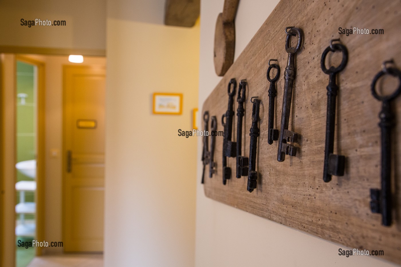 GITE RURAL 'GRAND GITE DES JONQUILLES', VILLIERS-SAINT-ORIEN, EURE-ET-LOIR (28), FRANCE 