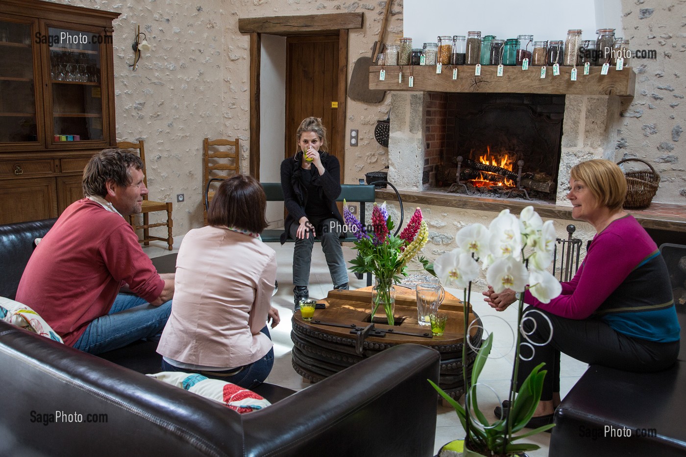 GITE RURAL 'GRAND GITE DES JONQUILLES', VILLIERS-SAINT-ORIEN, EURE-ET-LOIR (28), FRANCE 