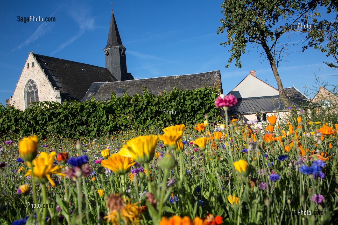GITE RURAL 'GRAND GITE DES JONQUILLES', VILLIERS-SAINT-ORIEN, EURE-ET-LOIR (28), FRANCE 