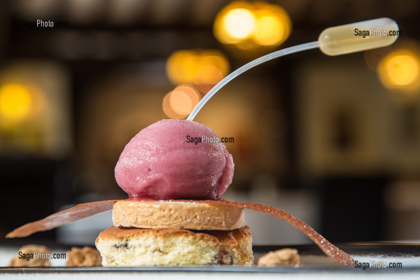 BISCUIT AUX FRUITS SECS, PARFAIT NOISETTE ET SORBET AUX RAISINS, TUILE AU VIN ROUGE ET PIPETTE DE VIEUX COGNAC, HOTEL RESTAURANT DE LA FORET, SENONCHES, EURE-ET-LOIR (28), FRANCE 