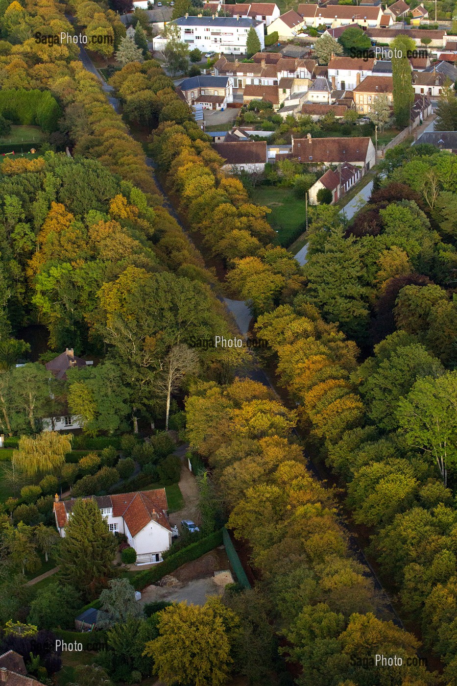 VUE AERIENNE DES ALLEES D'ARBRES MENANT AU CHATEAU, LA FERTE VIDAME, PERCHE, EURE-ET-LOIR (28), FRANCE 
