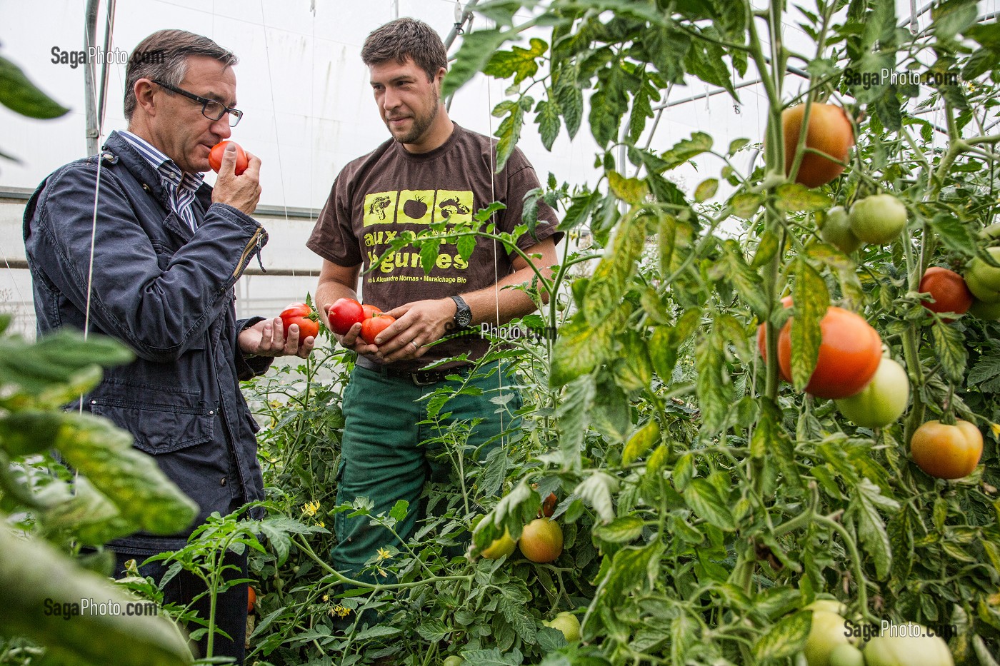 LAURENT CLEMENT, CHEF DE L'HOTEL RESTAURANT LE GRAND MONARQUE, EN COMPAGNIE DU MARAICHER ALEXANDRE MORNAS, SUR SON EXPLOITATION MARAICHERE BIOLOGIQUE AUX PETITS LEGUMES, BERCHERES-LES-PIERRES, EURE-ET-LOIR (28), FRANCE 