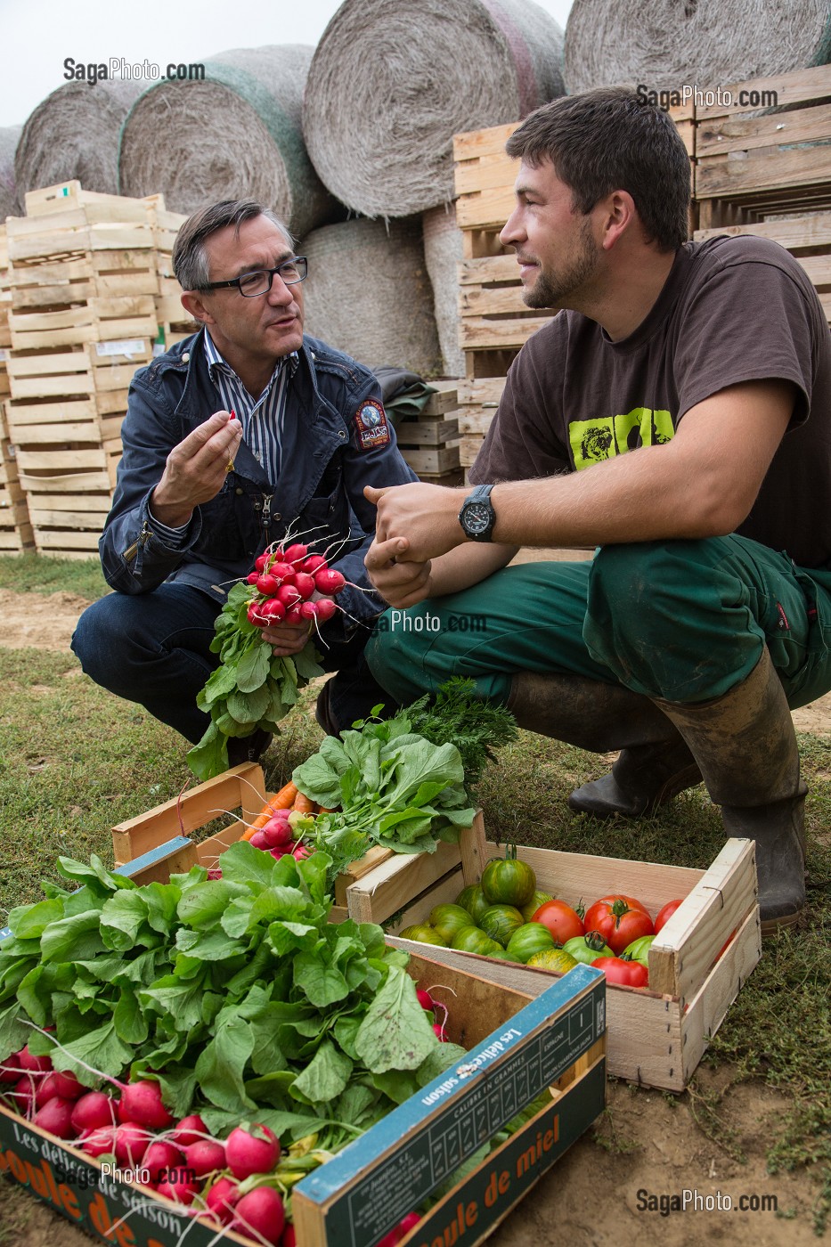 LAURENT CLEMENT, CHEF DE L'HOTEL RESTAURANT LE GRAND MONARQUE, EN COMPAGNIE DU MARAICHER ALEXANDRE MORNAS, SUR SON EXPLOITATION MARAICHERE BIOLOGIQUE AUX PETITS LEGUMES, BERCHERES-LES-PIERRES, EURE-ET-LOIR (28), FRANCE 