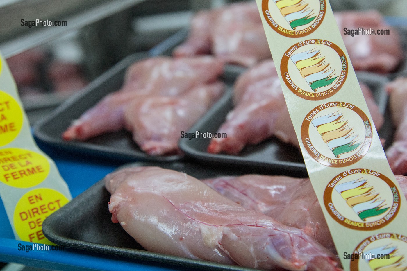 MISE EN BARQUETTES DES LAPINS DU BOIS ROUVRAY DECOUPES POUR LA VENTE, LABEL PRODUITS TERRES D'EURE-ET-LOIR, CHARTRES, EURE-ET-LOIR (28), FRANCE 