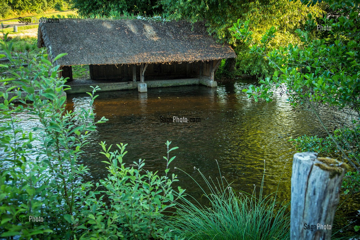 LAVOIR EN CHAUME SUR LA CONIE, RIVIERE SAUVAGE ALIMENTEE PAR LES EAUX DE SOURCE DE L'EXSURGENCE DE LA NAPPE PHREATIQUE DE BEAUCE, DONNEMAIN-SAINT-MAMES, EURE-ET-LOIR (28), FRANCE 