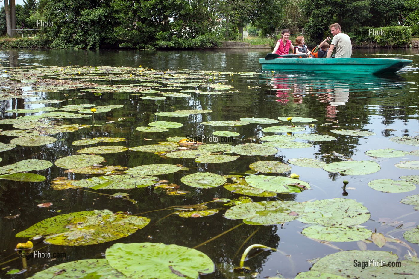 PROMENADE EN BARQUE SUR LE LOIR, ACTIVITE PROPOSEE PAR LA MAISON D'HOTES LA PLACE SAINT-MARTIN, MARBOUE, EURE-ET-LOIR (28), FRANCE 