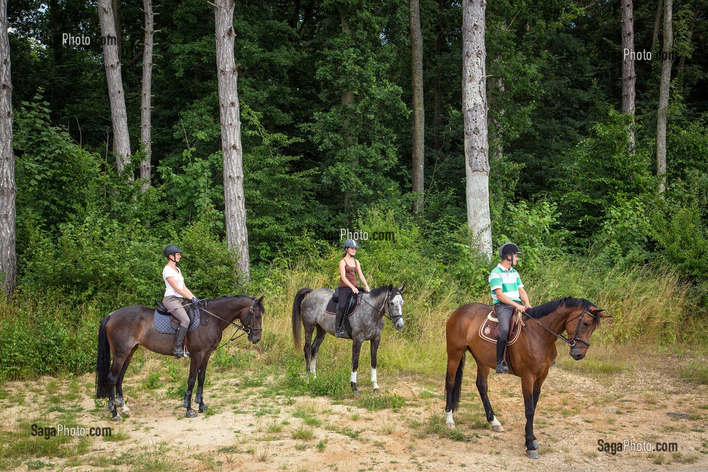 PROMENADE A CHEVAL, CENTRE EQUESTRE DES ECURIES DU VAL DE L'EURE, NOGENT-SUR-EURE, EURE-ET-LOIR (28), FRANCE 