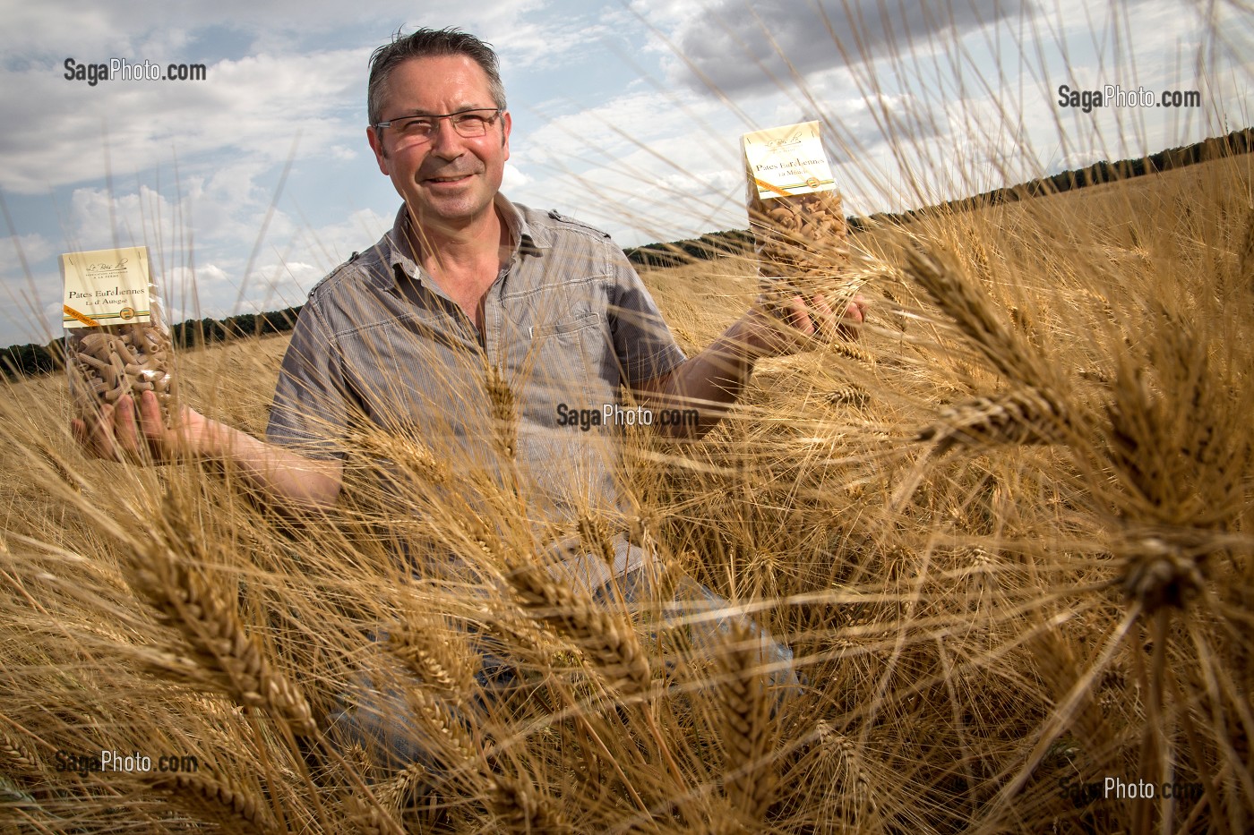 PHILIPPE GOURCI DANS SON CHAMPS DE BLE, PRODUCTEUR DE PATES ALIMENTAIRES LABELLISEES TERRES D'EURE-ET-LOIR, SAINT-MAXIME-HAUTERIVE (28), FRANCE 