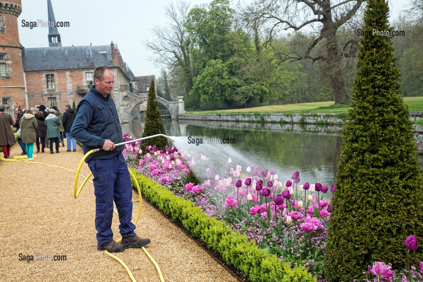 JARDINIER, ARROSAGE DES TULIPES DU PRINTEMPS, JARDINS A LA FRANCAISE REALISES EN 2013 SUIVANT LES PLANS D'EPOQUE D'ANDRE LE NOTRE COMMANDE PAR LOUIS XIV POUR FRANCOISE D'AUBIGNE, CHATEAU DE MAINTENON, EURE-ET-LOIR (28), FRANCE 